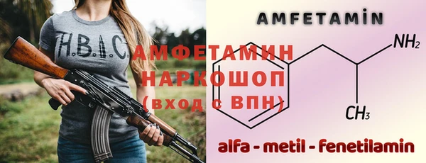 ешки Алексин