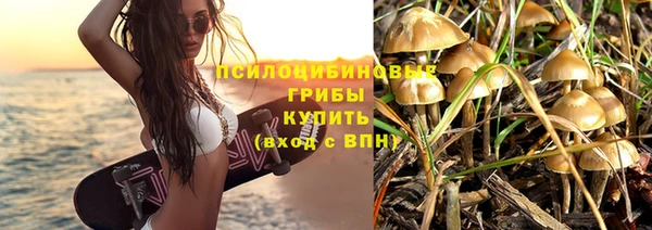 ешки Алексин